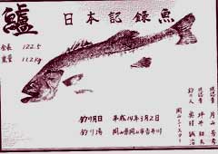 日本記録魚のスズキ